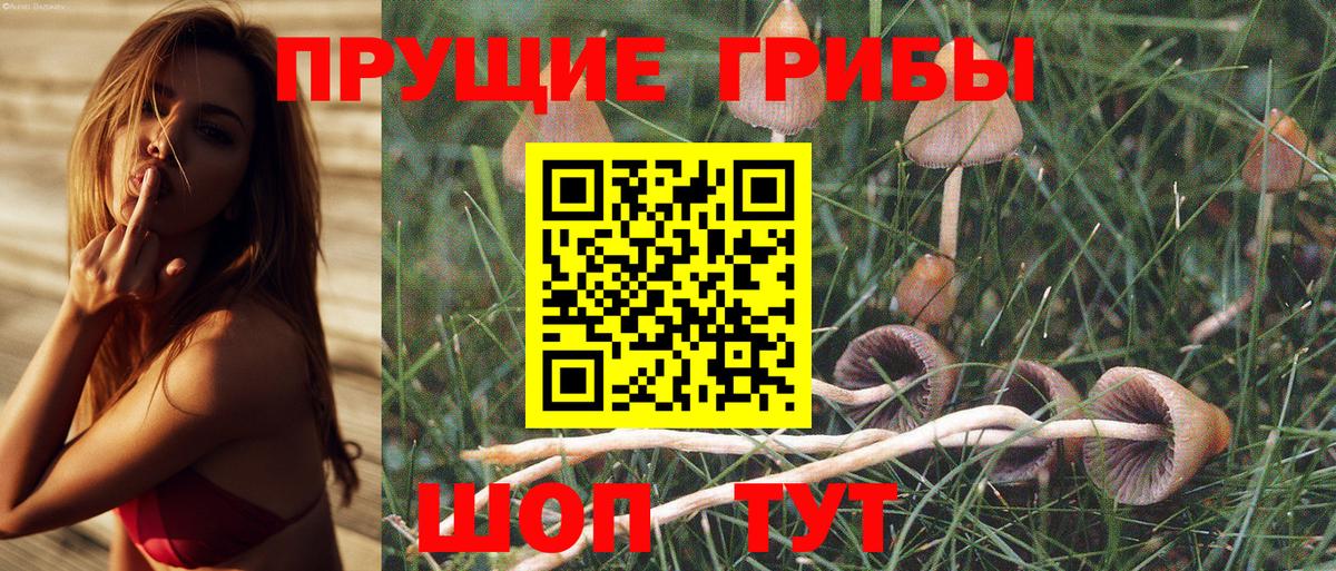 Галлюциногенные грибы Cubensis  Вход с VPN  Чебаркуль  Галлюциногенные грибы мухоморы 