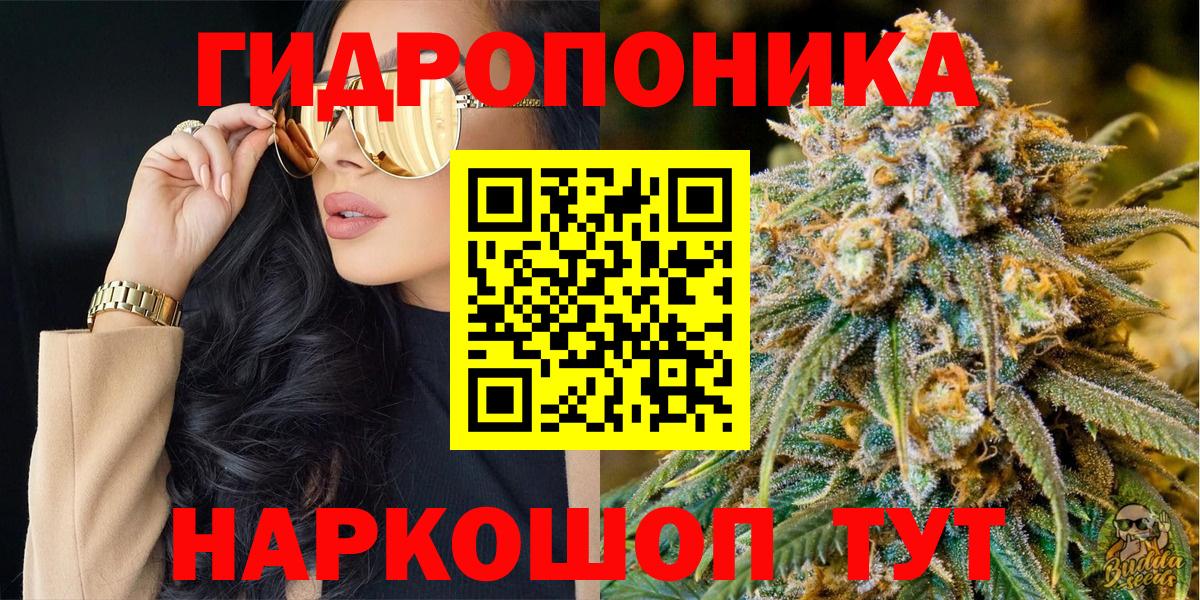 Шишки марихуана план  Вход с VPN  Чебаркуль  Марихуана MAZAR  Марихуана сатива 